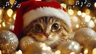 Calming music for Cats  Cozy Christmas Ambience no ads |Piano cat music 2025