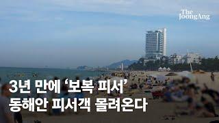 3년 만 ‘보복 피서’ 동해안 피서객 몰려온다…데이터로 본 피서객 ‘원픽’은?