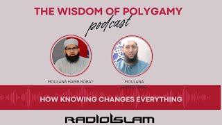 The Wisdom of Polygamy: Truths, Myths, and Coming to Terms.