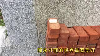 想自由的肥皂 - Emma手工皂專家