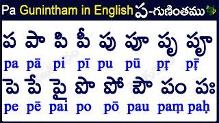 pa Gunintham in English | How to write pa gunintham |ప గుణింతం | Learn telugu #guninthalu in English