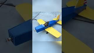 Squirrel pilot's dream fulfilled in homemade aircraft ️