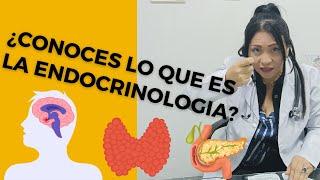 ¿Conoces que es la Endocrinología?