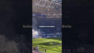 Schalke 04! Schalke ist das Geilste auf der Welt! Fangesang Edit mit Text!  #s04