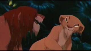 Lion King III