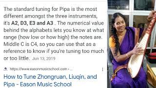 Pipa Chinese instrument comparative  analysis with indian music theories