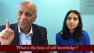 What is the basis of self knowledge? | Jay Lakhani | Hindu Academy