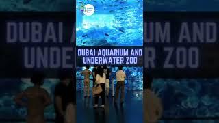 Unveiling the Ultimate Dubai Travel Experience | Explore with Travel Genie Tours #dubai #shorts