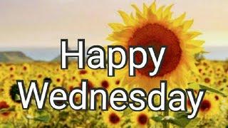 Good morning Wednesday images, best good morning images & beautiful flowers images