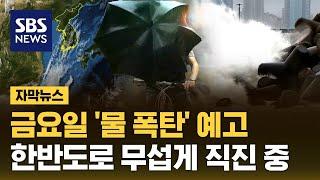 장마 본격 시작, 금요일 '물 폭탄' 예고…한반도로 무섭게 직진 중 (자막뉴스) / SBS