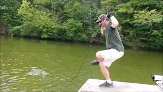 Shad Man Netting TONS of Gizzard Shad With Tim Wade Cast Net [SECRET METHOD]