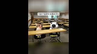 当留子混进中文课水学分 #大学生活 #留学 #上课日常 #搞笑 #猫meme #猫meme小剧场   #cat #故事 #funny   #貓 #搞笑 #pets