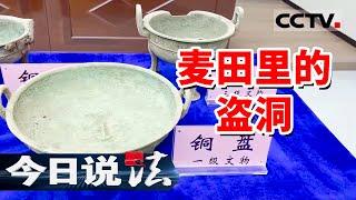 《今日说法》网上有人兜售文物 民警卧底调查 发现一个盗掘古墓葬的团伙！20240930 | CCTV今日说法官方频道