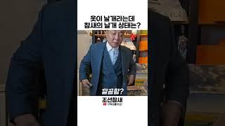 [조선참새] 옷이 날개라는데, 참새의 날개 상태는? #조선참새