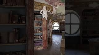  Wait for the hidden door! #architecture #baroque #rocco #library