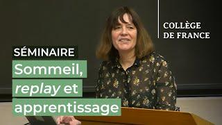 Sommeil, replay et apprentissage (5) - Stanislas Dehaene (2024-2025)