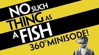 No Such Thing As A Fish in 360°!