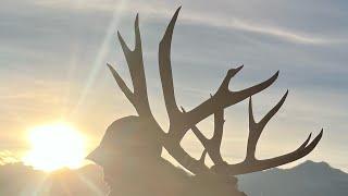 The Wait 2024 High Desert Archery Mule Deer Hunt- Matt Tillotson