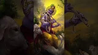 हरे Krishna ️ #jaishreekrishna #trending #viralvideo #status #radheradhe