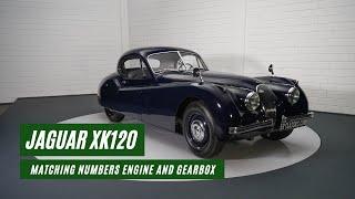 Jaguar XK120 Coupe | Body-off restored | Matching Numbers | 1953 -VIDEO- www.ERclassics.com