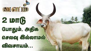 Chennai - விவசாயத்தில் பட்டையை கிளப்பும் IT ஊழியர் | Indian Native Cow Breeds | Valam EPI 1