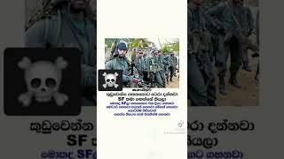 SF කියද්දි කොටි left ️ | #srilankaarmy