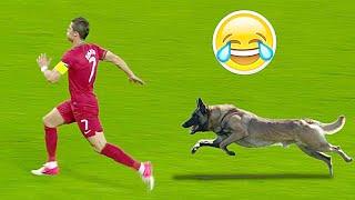 Animals on the Football Pitch ● Funny Moments