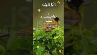 Pashton official Sarah tilawat Quran #foryou #islamicvideo #telawat_quran786