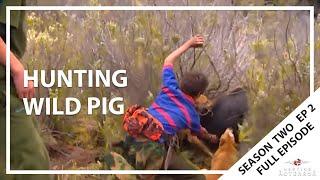 Hunting Aotearoa S02EP02 - Hunting Wild Pig