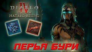 Diablo 4 - Наследник духов - Перья бури