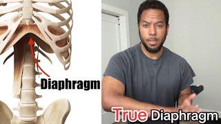 True Diaphragm Power