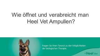 Wie öffnet und verabreicht man Heel Vet Ampullen?