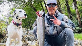 BOBBER DOWN- ONE MORE SUMMER STEELHEAD