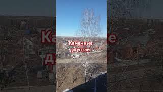 Хочу в деревню!
