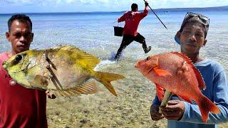 Alam Asri berburu Kerang dan Kejar²an dengan Ikan saat air laut surut bersama Subscriber Hongkong