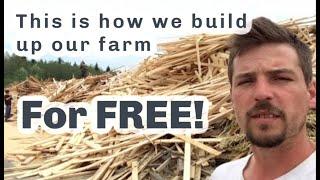 FREE TIMBER AND STRAWBERRIES and tree planting S4 ● E47