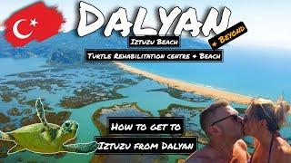 Dalyan | Iztuzu Beach | How Much Does a Dolmus and Taxi Boat Cost?