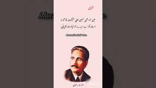 Best Allama Iqbal Poetry| Best Iqbal Poetry Lines| Best Poetry Videos.#reel #viral #poetry #shorts