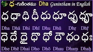 Telugu Guninthalu in English | How to write Dha gunintham in English | ధ గుణింతం | Learn #guninthalu