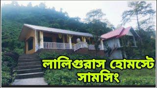 Laliguras beautiful view point || Samsing || Dooars || Siliguri to Laliguras || 2024 November