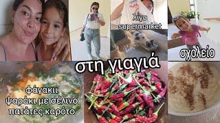 #vlog στη γιαγιά | σχολείο | λίγο #supermarket | φαγάκιι ψάρι με σέλινο πατάτες καρότο | βάφω μαλλιά