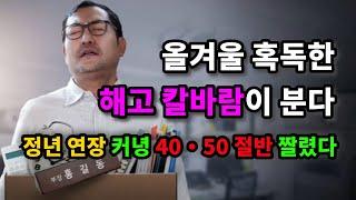 올겨울 혹독한 해고 칼바람이 분다! 정년 연장 커녕 40·50 절반 짤린다 - 원더풀 인생후반전