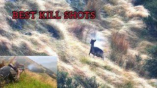 16 TOP HUNTING KILL SHOTS