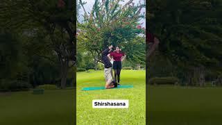 Shirshasana #shirshasana #yoga #yogafitness #fitness #homeworkout #practice #workout #yogi