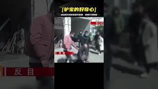 四川德昌殺人案，其死亡原因讓人唏噓