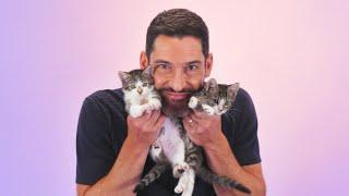 Tom Ellis: The Kitten Interview