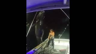 1000 pound bluefin tuna landed solo by Michelle Bancewicz Cicale