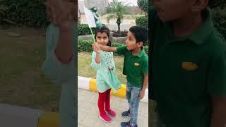 Respect Pakistani Flag #youtubeshorts #ytshorts #trending #@jasimvirk