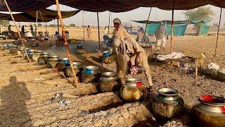 Traditional Night Wedding Food Preparation in Deep Desert | Mutton and Beef Qorma | Chicken Steam