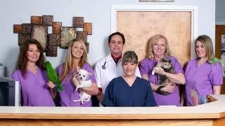 Exotic Pet Veterinarian | Alpharetta, GA - Animal Hospital of Nesbit Ferry Crossing